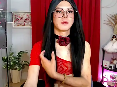 MissTransStella69 online show from November 19, 6:24 am