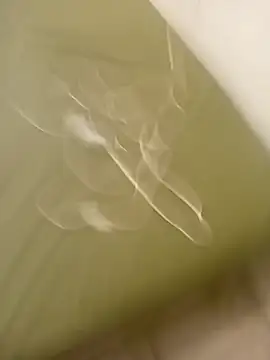 Snapshot of lameraverja123 chatting on November 8, 11:08 pm lameraverja123 online show from November 8, 11:08 pm