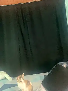 EVAH LEE  online show from September 23, 1:12 am