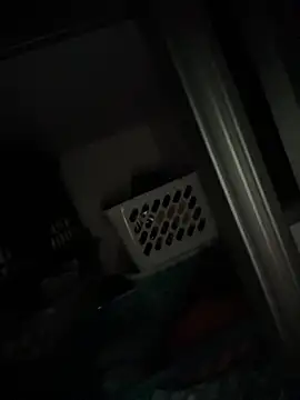 raynstars online show from November 16, 12:37 am