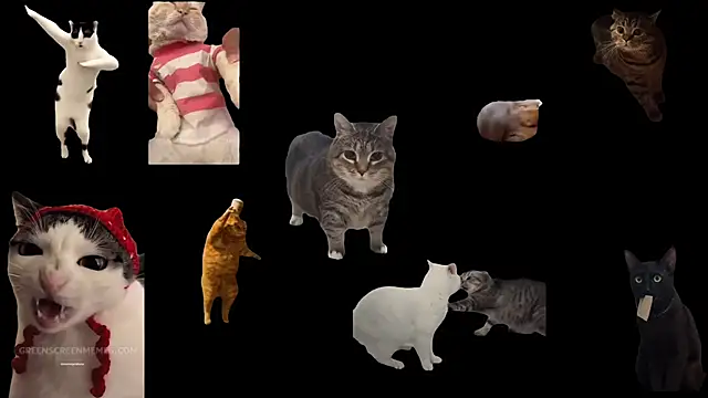 ch0wn m online show from October 24, 10:47 am