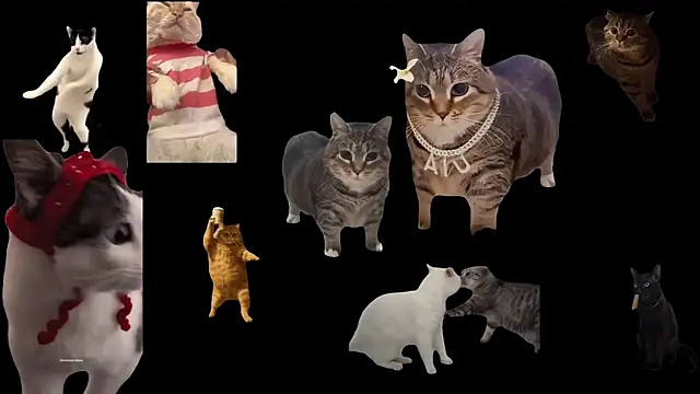 ch0wn m online show from November 19, 12:38 pm