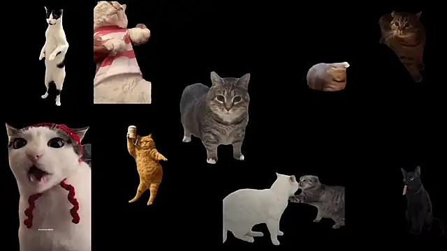 ch0wn m online show from October 3, 12:50 pm