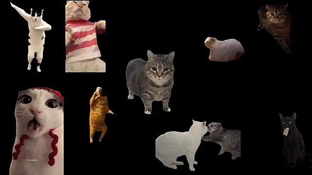 ch0wn m online show from September 20, 11:59 am