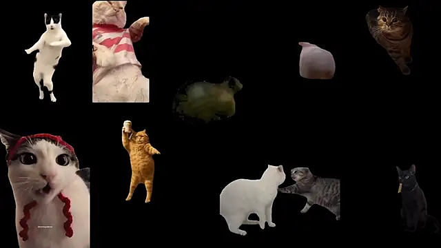 ch0wn m online show from February 1, 2:59 pm