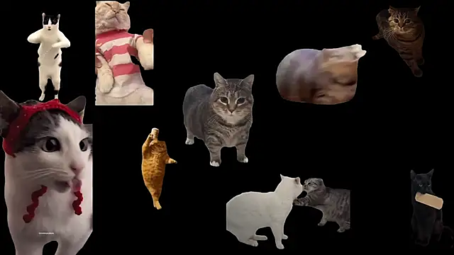 ch0wn m online show from November 17, 10:52 am