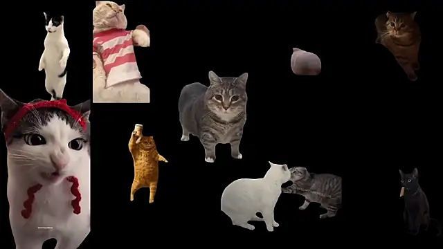 ch0wn m online show from September 19, 10:41 am