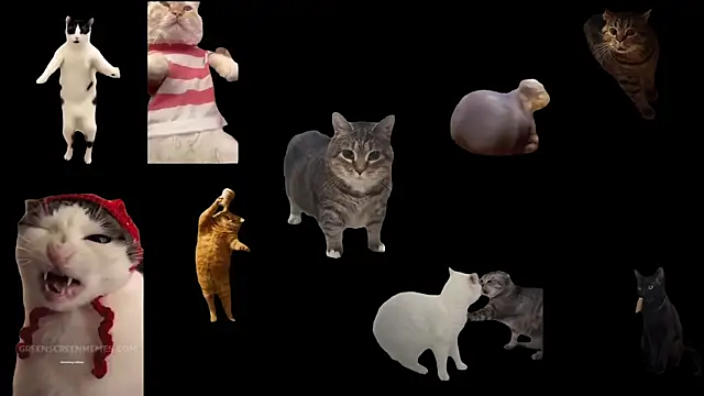 ch0wn m online show from November 14, 1:15 pm