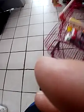 Snapshot of cicinha3657 chatting on February 20, 6:32 pm cicinha3657 online show from February 20, 6:32 pm