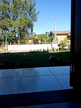 cicinha3657 online show from April 9, 6:25 pm