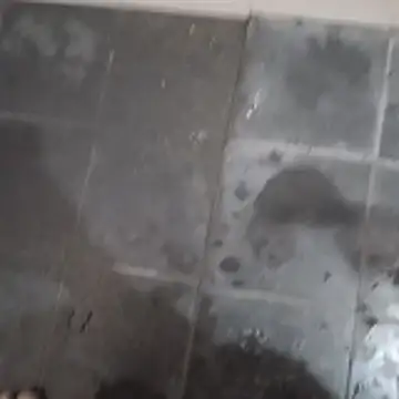 femboyslqueen online show from November 17, 4:33 pm