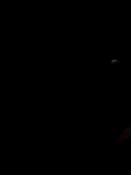 Lujor online show from November 28, 2:23 am