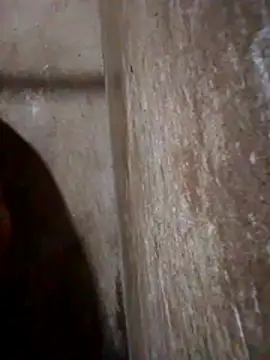 Lujor online show from March 13, 11:43 pm