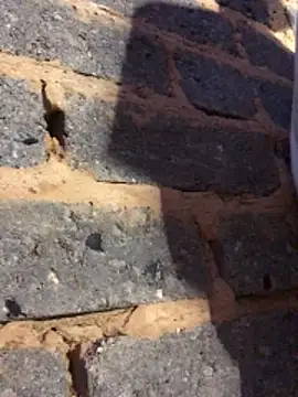 cuminsidebby online show from February 14, 6:19 pm