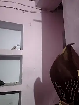 Snapshot of sexykrisha chatting on November 15, 3:32 am sexykrisha online show from November 15, 3:32 am