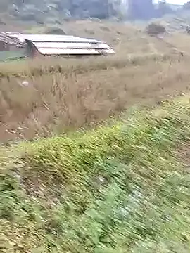 Phuongphuongg online show from October 20, 2:24 am