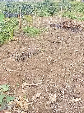 Phuongphuongg online show from October 21, 3:17 am