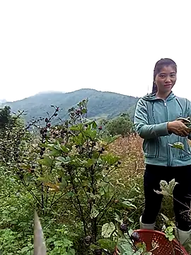 Phuongphuongg online show from October 28, 2:56 am