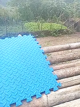 Phuongphuongg online show from October 26, 3:40 am