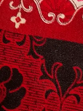 Horny Kavita online show from March 3, 7:15 am