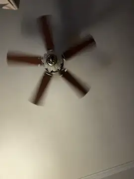 bb empress online show from December 1, 9:43 am