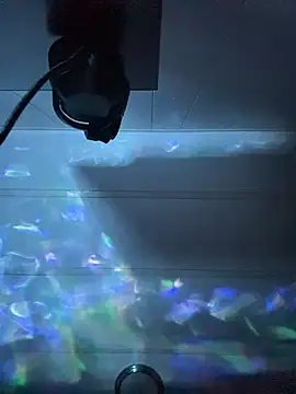 tyrek5051 online show from November 18, 7:00 am