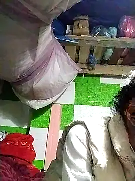 tdtd98 online show from February 1, 8:12 am