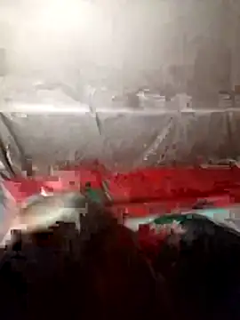 tdtd98 online show from February 21, 3:47 pm