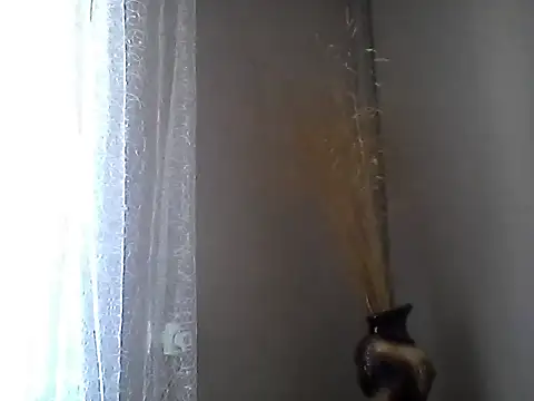 Snapshot of Littlecatme chatting on July 19, 7:06 am Littlecatme online show from July 19, 7:06 am