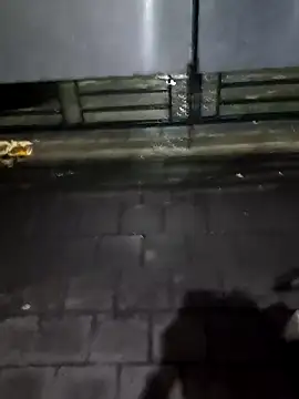 Snapshot of boysxx chatting on October 30, 8:06 pm boysxx online show from October 30, 8:06 pm