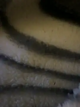 Snapshot of Simon-xx chatting on February 15, 3:40 am Simon-xx online show from February 15, 3:40 am