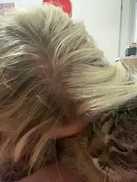 Snapshot of Alerquinasc chatting on September 19, 3:21 am Alerquinasc online show from September 19, 3:21 am