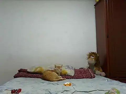 Snapshot of MeganAndMax@xh chatting on October 28, 12:33 am MeganAndMaxxh online show from October 28, 12:33 am