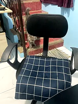 ieat monsters online show from October 6, 9:21 am