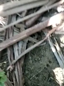 Real Sucker online show from November 28, 4:56 am