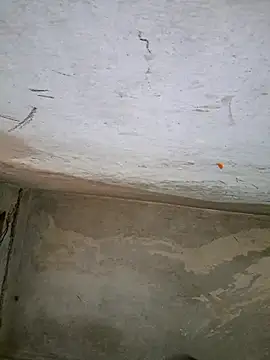 Sgaf39 online show from September 27, 10:43 am