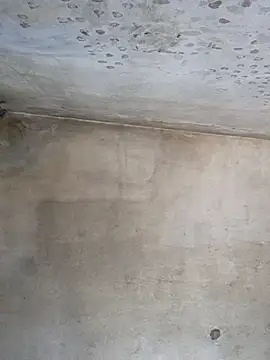 Sgaf39 online show from September 26, 9:16 am