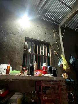 Sunny lotus online show from November 8, 3:15 pm