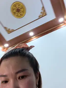 Sunny lotus online show from April 8, 4:47 am