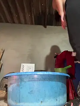 Sunny lotus online show from January 7, 10:42 am