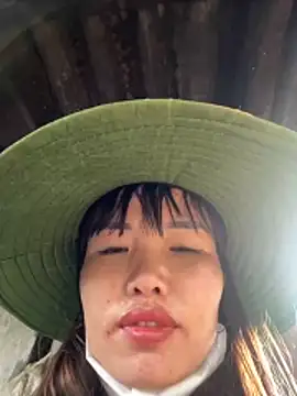 Sunny lotus online show from November 15, 2:04 am