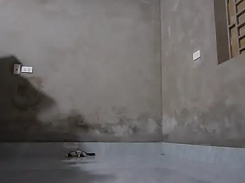 Bjorn357 online show from March 3, 6:31 am