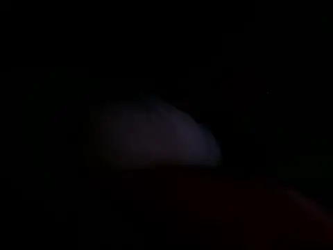 astridcollinsvip online show from October 25, 10:36 am