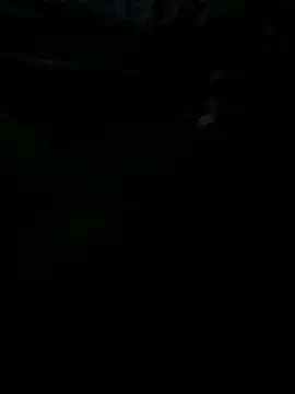 Snapshot of Reeelo chatting on October 31, 3:47 am Reeelo online show from October 31, 3:47 am