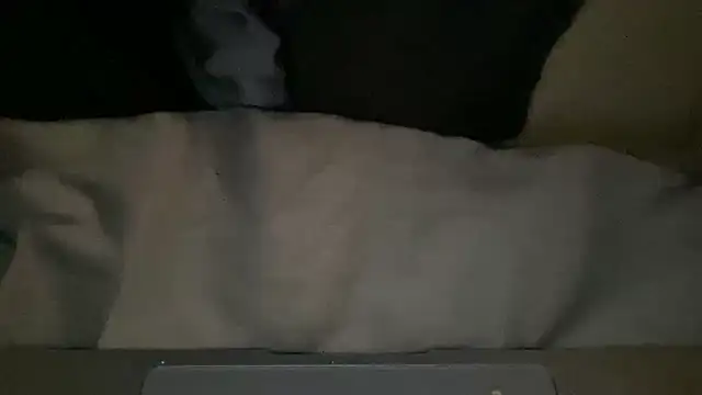 peterpapiNL online show from March 4, 7:32 pm