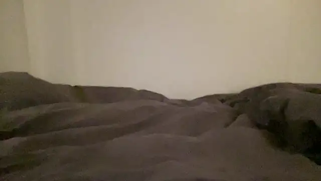 peterpapiNL online show from January 18, 1:31 am