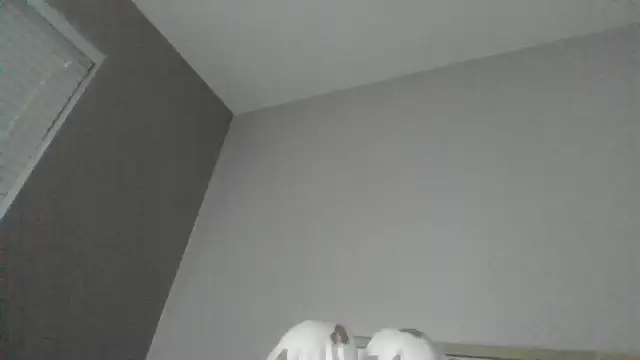 SexyKatiex online show from December 2, 9:49 pm