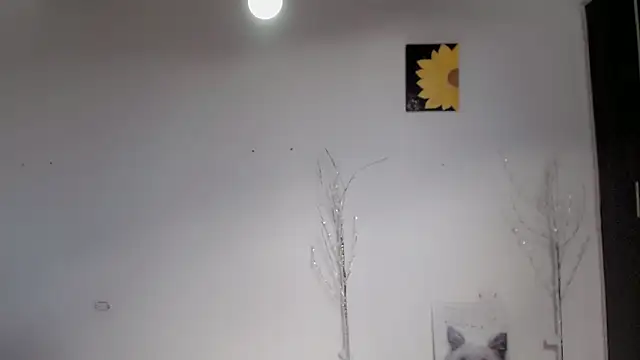 Snapshot of Stein_ chatting on September 15, 1:55 pm Stein online show from September 15, 1:55 pm