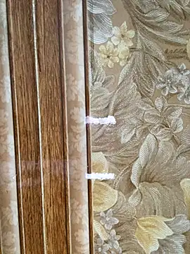 Julia-Elsa online show from November 2, 3:55 am