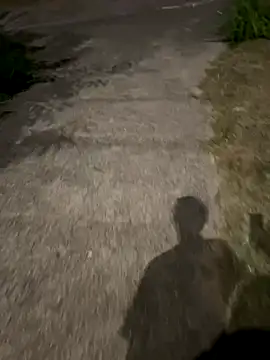 Snapshot of Foxfoxfox4 chatting on October 5, 1:02 pm Foxfoxfox4 online show from October 5, 1:02 pm